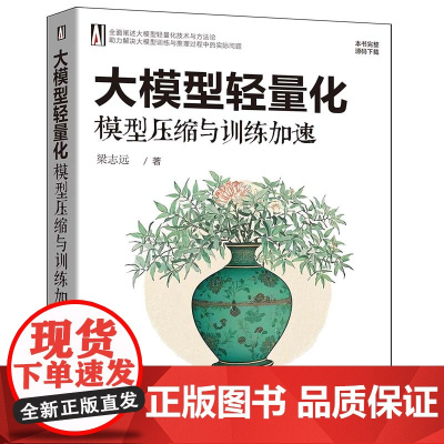 [正版新书]大模型轻量化:模型压缩与训练加速 梁志远 清华大学出版社 计算机