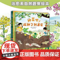 身上衣盘中餐 全4册 儿童绘本 自然观察 自然美育 自然科普 北京科学技术