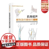 肌骨超声解剖及扫查技巧图解 肌骨超声解剖 扫查技巧 现代医学 北京科学技术