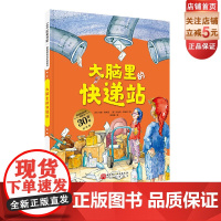 大脑里的快递站 升级版大开本 德国精选科学图画书 儿童绘本 北京科学技术