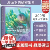 海面下的秘密生命 理查德史密斯 水下摄影 海洋生物科普 潜水 北京科学技术