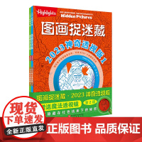 图画捉迷藏 2023 神奇透视版 全2册 益智游戏 互动游戏 视觉大发现 北京科学技术