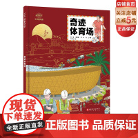 奇迹体育场 卡塔尔世界杯的舞台上 不是一个人在战斗 另一个中国队 酷炫亮相世界 卢塞尔体育场一线工程师揭秘绿茵场下的秘密