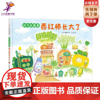 好吃的蔬菜-西红柿长大了