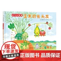 好吃的蔬菜-玉米的长头发