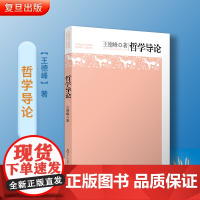 新版 哲学导论 王德峰 复旦大学出版社 21世纪大学文科教材 哲学教科书 复旦名师哲学王子王德峰教授经典力作 初级哲学入