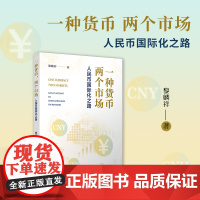 一种货币,两个市场: 人民币国际化之路 黎麟祥 复旦大学出版社 金融-货币-研究