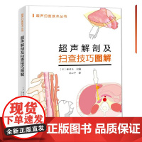 超声解剖及扫查技巧图解 新手入门超声基础实际操作 北京科学技术出版社