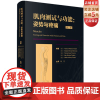 肌肉测试与功能 姿势与疼痛 方法指南运动康复李哲直播北京科学技术出版社