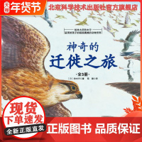 神奇的迁徙系列(绘本大师铃木守呈现给孩子的超级震撼的动物世界)