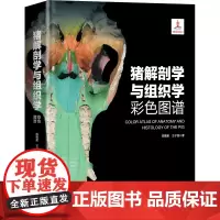 猪解剖学与组织学彩色图谱