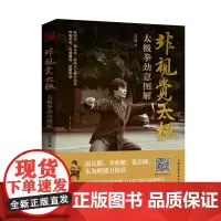 非视觉太极——太极拳劲意图解