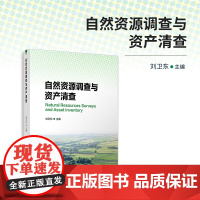 自然资源调查与资产清查 刘卫东主编 复旦大学出版社 自然资源资源调查清查财产研究
