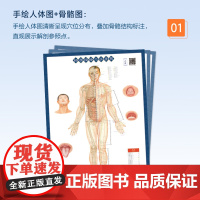 标准经络穴位挂图