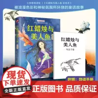 红蜡烛与美人鱼 彩绘本