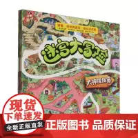 迷宫大冒险-(套装全8册)(儿童专注力培养)