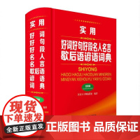 实用好词好句好段名人名言歇后语谚语词典(全新版)