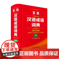 实用汉语成语词典(全新版)