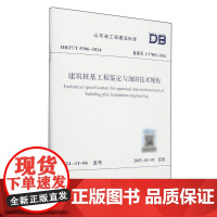 建筑桩基工程鉴定与加固技术规程(DB37//T5306-2024备案号J17862-2024)/山东省工程建设