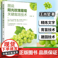 图说阳光玫瑰葡萄关键栽培技术