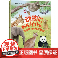 动物们都在忙什么:各显神招的哺乳动物