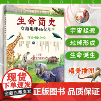 生命简史 穿越地球46亿年 探索哺乳动物 6-12-15岁儿童中小学生青少年科普读物 宇宙起源地球形成生命诞生史前世界探