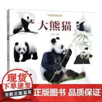 科普图鉴系列·大熊猫 了解自然界动物科普百科书籍动物知识学习图鉴儿童绘本图画书小学生动物百科课外阅读书籍