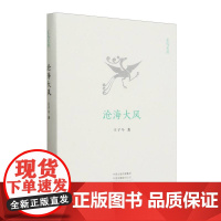 沧海大风(精)/玄鸟文丛