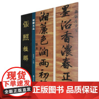 楹联名品-张照楹联 孙宝文 编 书法/篆刻/字帖书籍艺术