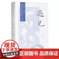 遇见 暖心作家丁立梅散文精选集之二 感悟哲理温情类的文风朴实灵动 真善美感悟哲理温情类小说现当代文学散文随笔名家名作