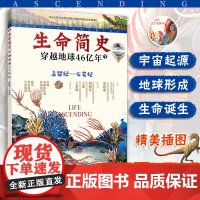 生命简史 穿越地球46亿年 志留纪 石炭纪 6-12-15岁儿童中小学生青少年科普读物 宇宙起源地球形成生命诞生史前世界
