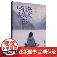 灰鸟消失在尽头