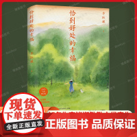 恰到好处的幸福 2025修订版 知名作家毕淑敏散文代表作 写给所有人的生活之书 45场与内心的对话:请记得恰到好处 请从