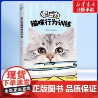 零压力猫咪行为训练 帮助人们和猫咪建立共同语言、训练猫咪的工具书 了解猫咪肢体语言 宠物训练漫画书籍