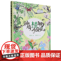 神奇植物小分队