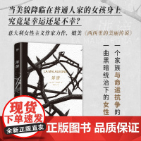 诽谤(新版)当美貌降临在普通女孩身上,是幸运还是不幸?意大利女性主义作家力作