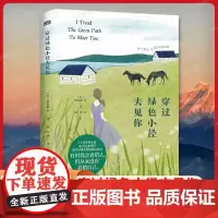 穿过绿色小径去见你 书简阅名家名家发疯文学金句去除班味的快乐阅读契诃夫陀思妥耶夫斯基黑塞等著名作家金句合集往来书信