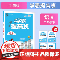 25C 小学提高班 语文 二下全国版