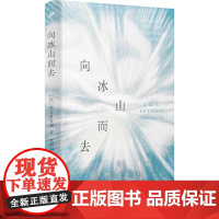 勒克莱齐奥作品系列-向冰山而去(精装)