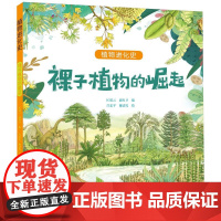 裸子植物的崛起/植物进化史
