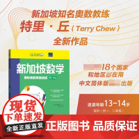 新加坡数学国际奥数思维训练. 13-14岁