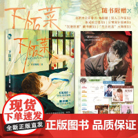 下饭菜(青春都市小说)