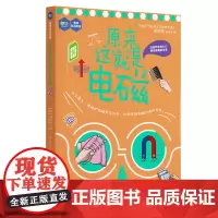 原来这就是电磁