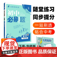 2025春初中必刷题 数学八年级下册 HS