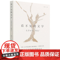 看不见的文学(文学如何理论)