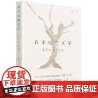 看不见的文学(文学如何理论)