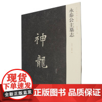 永泰公主墓志/新出隋唐碑志精编