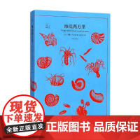 海底两万里(译文40)