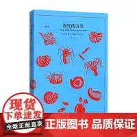 海底两万里(译文40)