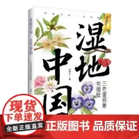 湿地中国.三色堇扬着花猫脸